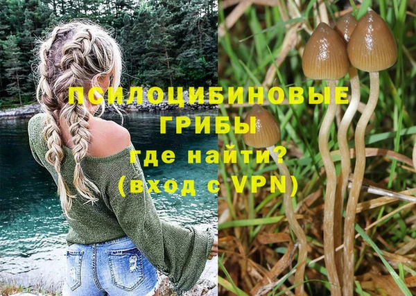 COCAINE Богданович