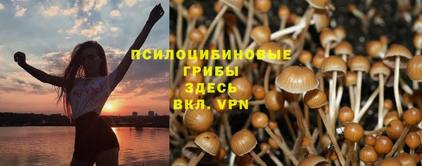 COCAINE Богданович